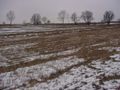 Działka inwestycyjna 2,00&nbsp;ha, Jankowo Gdańskie, OBWODOWA - zdjęcie 3