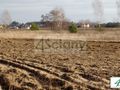 Działka inwestycyjna 1,03 ha, Kazuń Polski - zdjęcie 3