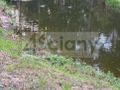 Dom 800&nbsp;m², Starowola - zdjęcie 6