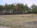 Działka budowlana 1,59&nbsp;ha, Czersk, TUCHOLSKA - zdjęcie 1