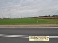 Wynajmę działkę 8500&nbsp;m², Swadzim, Poznańska - zdjęcie 1