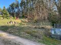 Działka rekreacyjna 684&nbsp;m², Sitno, Karlikowska - zdjęcie 4