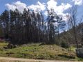 Działka rekreacyjna 684&nbsp;m², Sitno, Karlikowska - zdjęcie 3