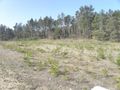 Działka rekreacyjna 684&nbsp;m², Sitno, Karlikowska - zdjęcie 1