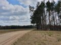Działka w pięknej i spokojnej okolicy - zdjęcie 4