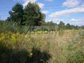 Działka inwestycyjna 1,19&nbsp;ha, Brwinów - zdjęcie 3