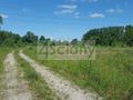 Działka inwestycyjna 1,19&nbsp;ha, Brwinów - zdjęcie 4