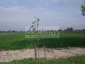 Działka inwestycyjna 2,80&nbsp;ha, Płochocin - zdjęcie 1