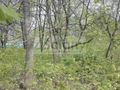 Działka inwestycyjna 4686&nbsp;m², Piastów - zdjęcie 1