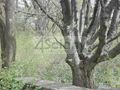 Działka inwestycyjna 4686&nbsp;m², Piastów - zdjęcie 2