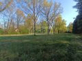 Działka budowlana 1951 m², Jabłonna - zdjęcie 4