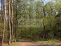 Działka budowlana 1,20&nbsp;ha, Sękocin-Las - zdjęcie 3