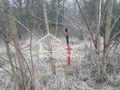 Działka rolna 3000 m², Karwowo - zdjęcie 6