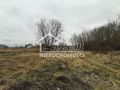 Działka rolna 3000 m², Karwowo - zdjęcie 2