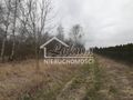 Działka rolna 3000 m², Karwowo - zdjęcie 1