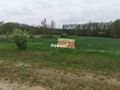 Działka rolna 6700 m², Grabowiec - zdjęcie 1