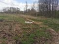 Działka rolna 6700 m², Grabowiec - zdjęcie 6