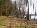 Działka leśna blisko jeziora Kamieniczno - zdjęcie 4