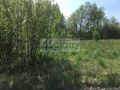 Działka rolna 1,48&nbsp;ha, Kozerki - zdjęcie 2