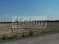 Działka inwestycyjna 3,41 ha, Sokołów - zdjęcie 1