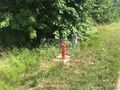 Działka inwestycyjna 2,26&nbsp;ha, Józefów - zdjęcie 3