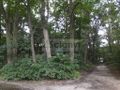 Działka budowlana 3060 m², Warszawa - zdjęcie 3