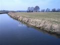 Działka rolna 7855&nbsp;m², Cholewy - zdjęcie 2