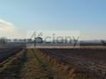Działka rolna 7855&nbsp;m², Cholewy - zdjęcie 4