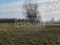 Działka rolna 7855&nbsp;m², Cholewy - zdjęcie 5