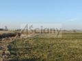 Działka rolna 7855&nbsp;m², Cholewy - zdjęcie 3