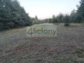 Działka rekreacyjna 3000&nbsp;m², Arciechów - zdjęcie 2