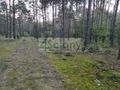 Działka rekreacyjna 3000&nbsp;m², Arciechów - zdjęcie 6