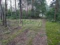 Działka rekreacyjna 3000&nbsp;m², Arciechów - zdjęcie 3