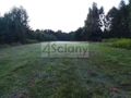 Działka rekreacyjna 3000&nbsp;m², Arciechów - zdjęcie 1