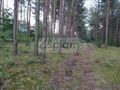 Działka rekreacyjna 3000&nbsp;m², Arciechów - zdjęcie 4