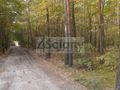 Działka budowlana 3440 m², Józefów - zdjęcie 3