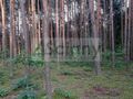 Działka budowlana 3,50&nbsp;ha, Mościska - zdjęcie 3