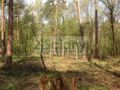 Działka budowlana 4630&nbsp;m², Sękocin-Las - zdjęcie 1