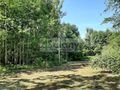 Działka budowlana 1600 m², Kady - zdjęcie 5