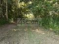 Działka budowlana 1600 m², Kady - zdjęcie 1