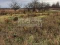 Działka budowlana 2000&nbsp;m², Falenty Nowe - zdjęcie 1