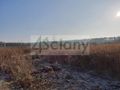 Działka budowlana 9900&nbsp;m², Łoś - zdjęcie 2
