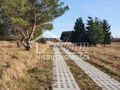 Działka budowlana 1137&nbsp;m², Białuń - zdjęcie 4