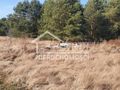 Działka budowlana 1137&nbsp;m², Białuń - zdjęcie 6