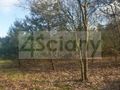 Działka budowlana 1697&nbsp;m², Ojrzanów - zdjęcie 2