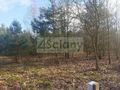 Działka budowlana 1697&nbsp;m², Ojrzanów - zdjęcie 4