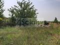 Działka inwestycyjna 7521&nbsp;m², Opacz-Kolonia - zdjęcie 1