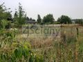 Działka inwestycyjna 7521&nbsp;m², Opacz-Kolonia - zdjęcie 2