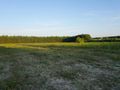 Działka inwestycyjna 1,50 ha, Ramiszów - zdjęcie 2