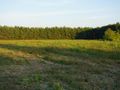 Działka inwestycyjna 1,50 ha, Ramiszów - zdjęcie 1